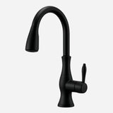 Torneira Para Cozinha Preto