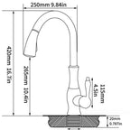 Torneira Para Cozinha Monocomando Misturador Gourmet Extensível Royal Class - imagem do produto 2