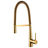 Dourado