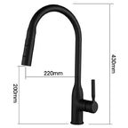 Torneira Para Cozinha Monocomando Misturador Pull Out Royal Pristine - imagem do produto 4