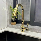 Torneira Para Cozinha Monocomando Misturador Gourmet Extensível Royal Class - imagem do produto 3
