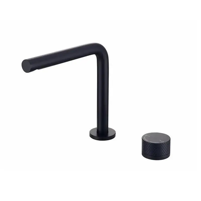 Torneira Para Banheiro Monocomando Royal Ares - Preto Fosco Baixo