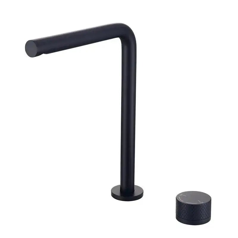 Torneira Para Banheiro Monocomando Royal Ares - Preto Fosco Alto