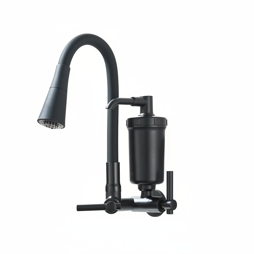 Torneira Para Cozinha Com Filtro Royal Axis - Preto Fosco