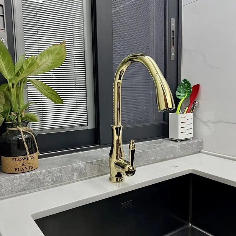 Torneira Para Cozinha Monocomando Misturador Gourmet Extensível Royal Class - imagem do produto 11