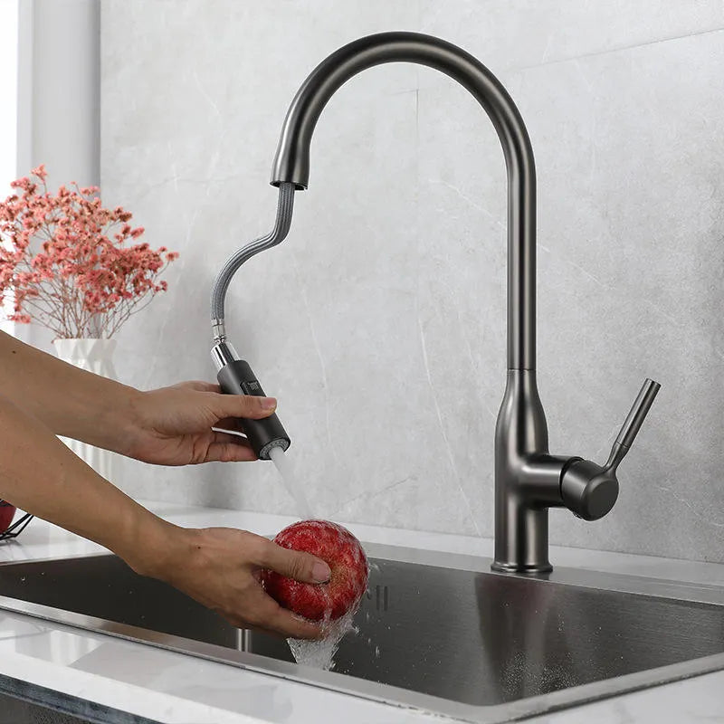 Torneira Para Cozinha Monocomando Misturador Pull Out Royal Pristine - imagem do produto 8