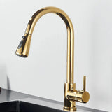 Dourado