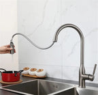 Torneira Para Cozinha Monocomando Misturador Pull Out Royal Pristine - imagem do produto 5